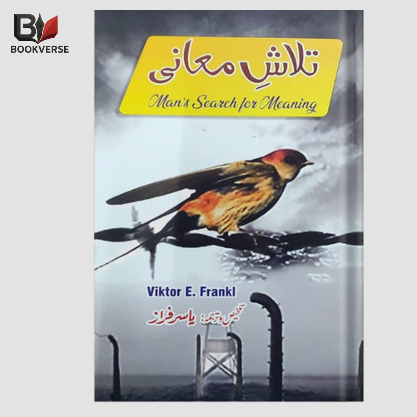 Talash Ma'ani Urdu book – self discovery, meaning of life, philosophy