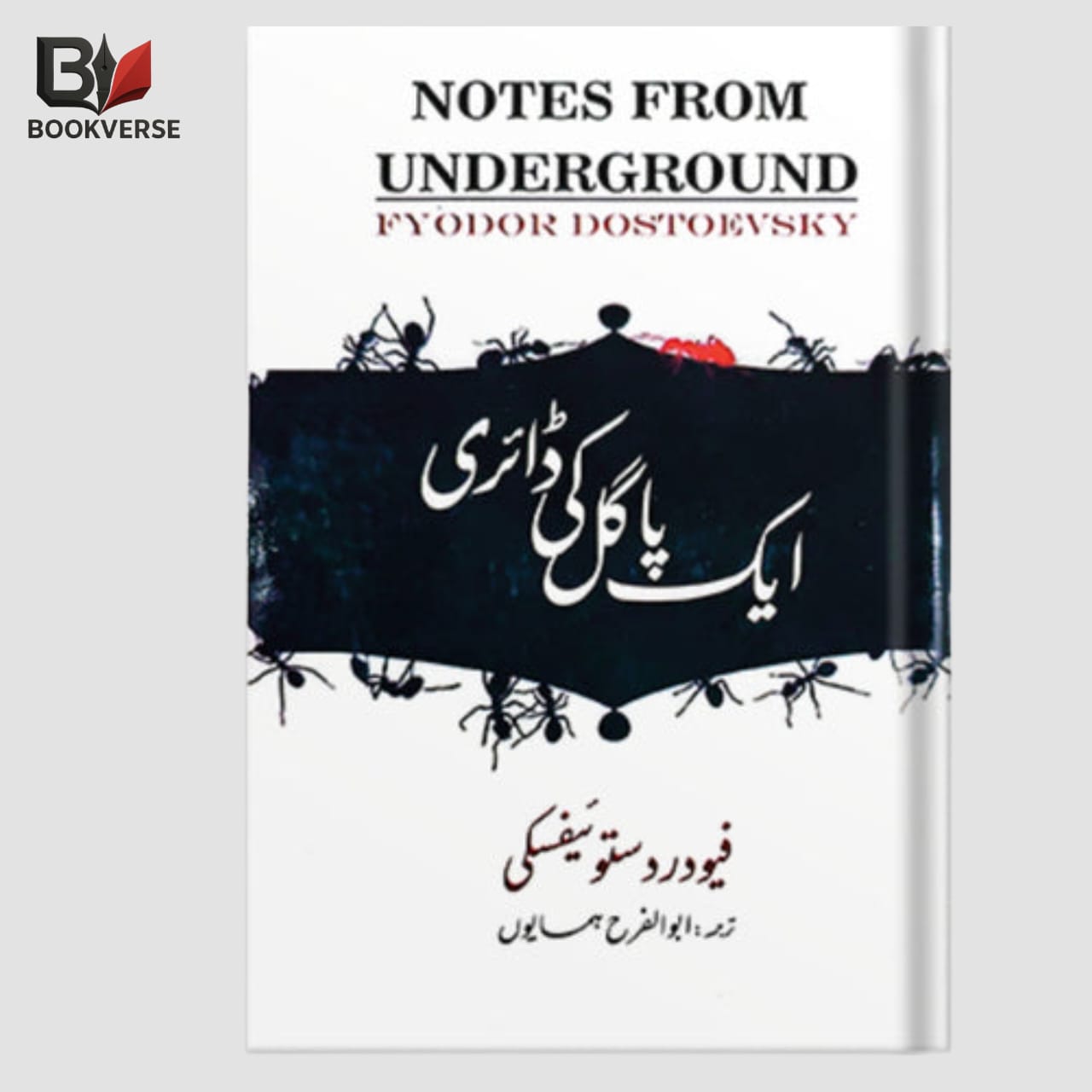 Aik Pagal Ki Diary Urdu Novel – Famous Psychological Fiction